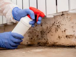 Best Commercial Mold Inspection in Aurora, CO